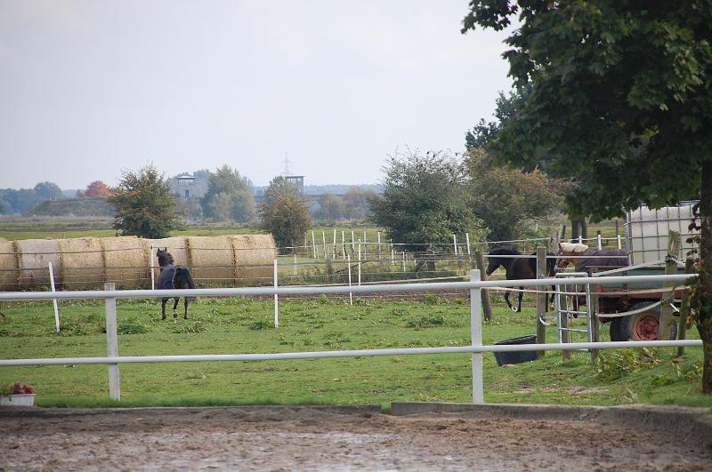 Tagesausritt Oktober 2008122.JPG